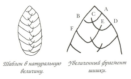 Panglici de broderie pentru incepatori pas-cu-pas master-clasa pe cusatura de broderie 