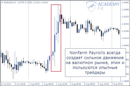 Impactul șomajului asupra economiei și asupra schimbului valutar