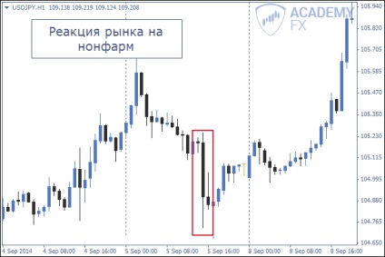 Impactul șomajului asupra economiei și asupra schimbului valutar