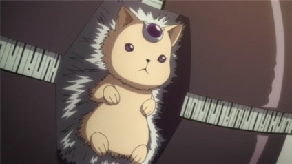 Hibari koya - tutor bérgyilkos újjászületett! Egyéb - cikkek Directory - Anime honlapon!