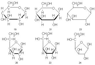 Compoziția chimică a organismelor vii - abstract, pagina 2