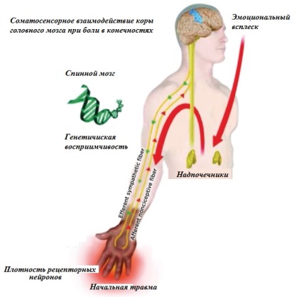 Durerea cronică