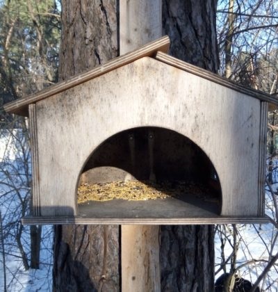 De ce să hrăniți păsările în timpul iernii și cum să le hrăniți
