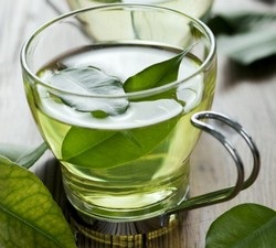 Zöld tea rákellenes