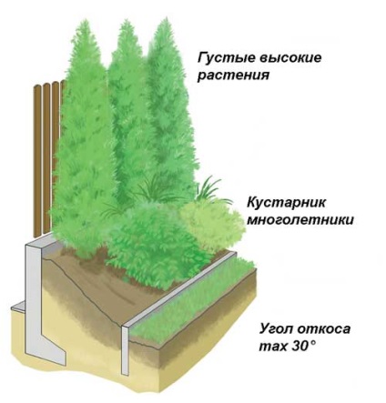 Garduri vii ca protecție împotriva gazelor de eșapament și a zgomotului