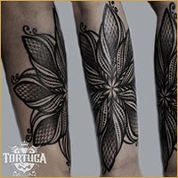 Înțeles macara tatuaj, valoare macara tatuaj, salon de tatuaj - Tortuga - 24 de ore