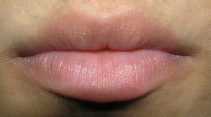 Introducere în luciu de buze ffleur - chic lipgloss palet - # 3 comentarii