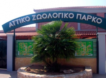 Gradina zoologica din Atena, ghidul tau
