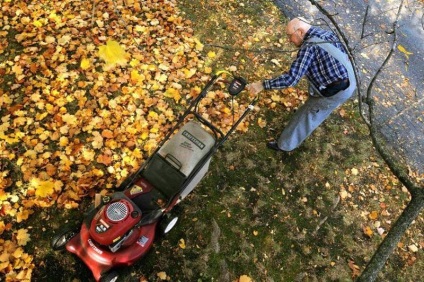 7. Hasznos ötletek, hogy mit kell csinálni a lehullott levelek