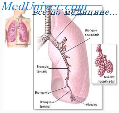 Adenocarcinomul pulmonar