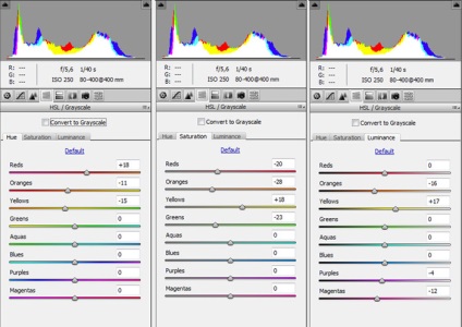 Camera video Adobe prime, procesarea fotografiilor în raw-converter - photosite funphoto