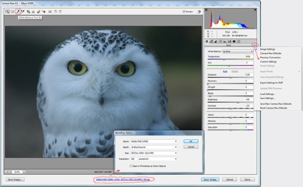 Camera video Adobe prime, procesarea fotografiilor în raw-converter - photosite funphoto