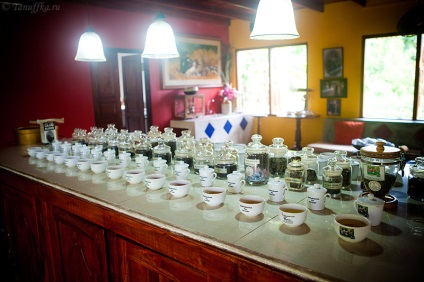 Fabrică de ceai handudugudo (fabrica de ceai handunugoda) - teaterra, teaterra