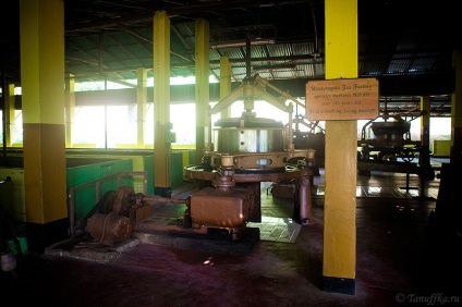 Handunugoda Tea Factory (handunugoda tea gyár) - teaterra, teaterra