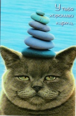 Mi a karma (a) Mi Karma