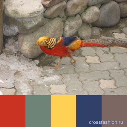 Grupul Crossfashion - elaborarea schemelor de culori