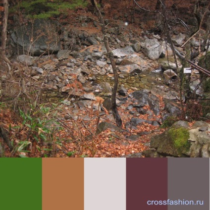 Grupul Crossfashion - elaborarea schemelor de culori