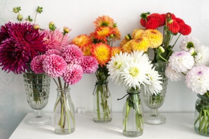 Compoziții de flori pentru fiecare zi 15 exemple frumoase care vor conduce pe cineva nebun