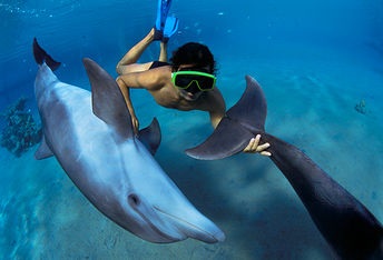 Terapia cu delfin și efectul său terapeutic