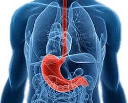 Mâncăruri dietetice cu rețete de boli gastro-intestinale