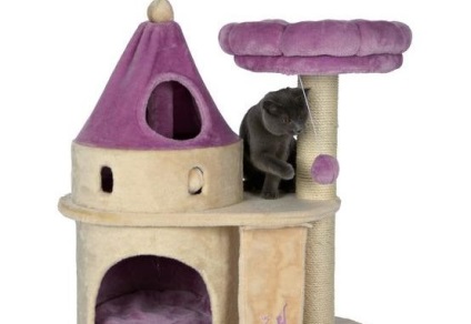 Casa pentru o pisică - șobolan Don Sphynx