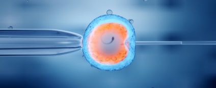 Avantajele, dezavantajele și descrierea completă a culturii embrionare în mediul embriogenic