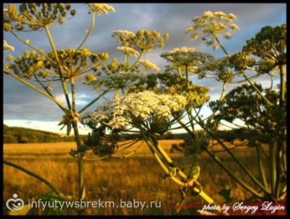 Obiective turistice din regiunea Perm (suksun)