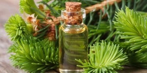 Cedar illóolaj az egészségügyi hajszabályokhoz és felhasználásokhoz