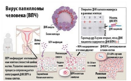 Epigen pentru pulverizare intimă, indicații pentru utilizare și efecte secundare