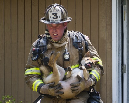 Acești eroi curajoși și-au riscat viața pentru a-și salva animalele de companie - un lucru pozitiv