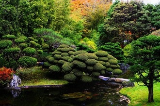 Armonie a grădinii japoneze pe șase sute de piese