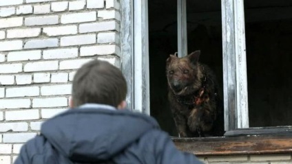 În cazul în care la Cernobâl a fost filmat zona de film de înstrăinare Cernobâl zona de excludere zonă de excludere, actori