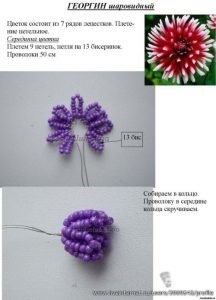 Dahlia din margele de master-class cu pas-cu-pas fotografii si diagrame