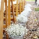 Plantarea și îngrijirea plantelor perene Gypsophila