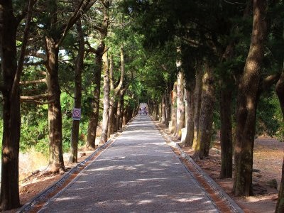 Mount Filerimos, Rhodes