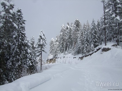 Schi Bulgaria, sau Bansko 2013! Munții mai buni nu pot fi decât munți