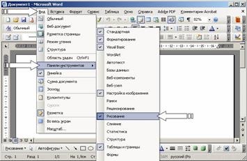 Editor de cuvinte microsoft word - stadopedia