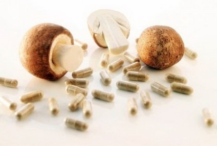 Ciuperca braziliană agarică - proprietăți medicinale, aplicație agarică în oncologie