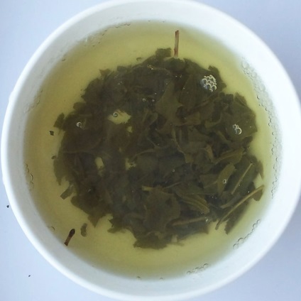 Greenfield Sencha