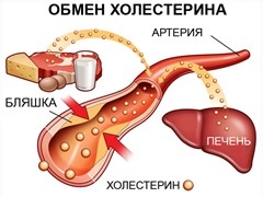 Ginger pentru reducerea colesterolului și curățarea vasculară