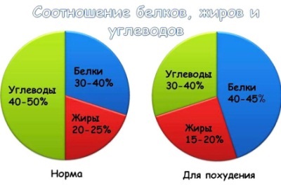 Egyéni diéta - fogyókúra, összeállítása, számítási program