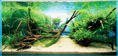 Арт декорация аквариум