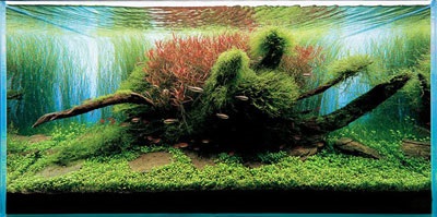 Арт декорация аквариум