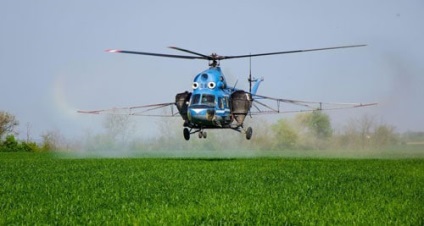 Utilizarea stompului de erbicid în combaterea buruienilor în culturile de legume,