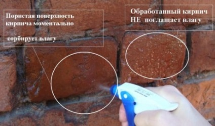 Cum să se ocupe de mucegai și ciuperci pe pereții exteriori ai unei clădiri