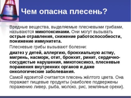 Как да се отървем от мухъл и плесен в банята, шевовете между плочките и уплътнителя