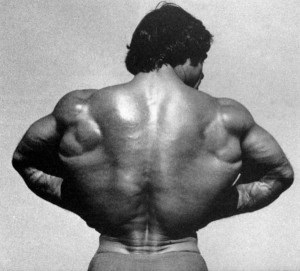 Cum să pompați mușchii din spate