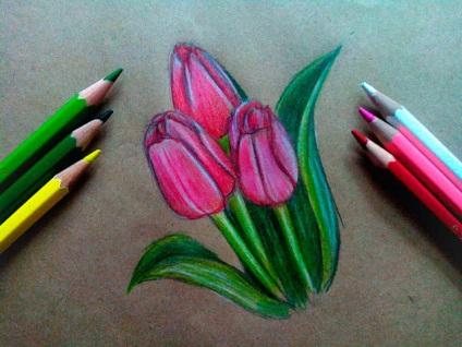 Cum de a desena lalele în etape cu creioane colorate