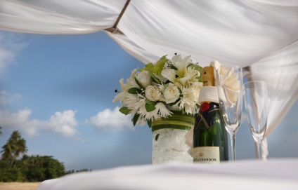Cum să sărbătoriți o nuntă într-un ghid detaliat al gospodăriei - o gospodărie de veragi