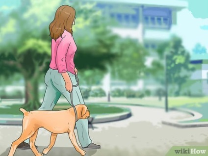 Как да се поддържа формата на мързеливия кучето